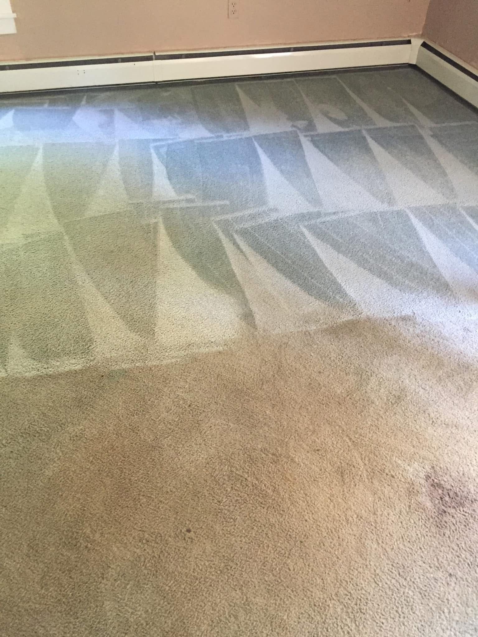 Carpet Cleaning