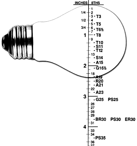 Bulb Size Reference