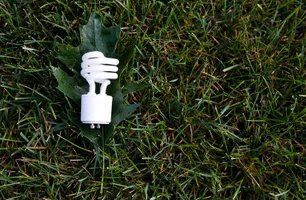 Light Bulb