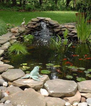 Koi Pond