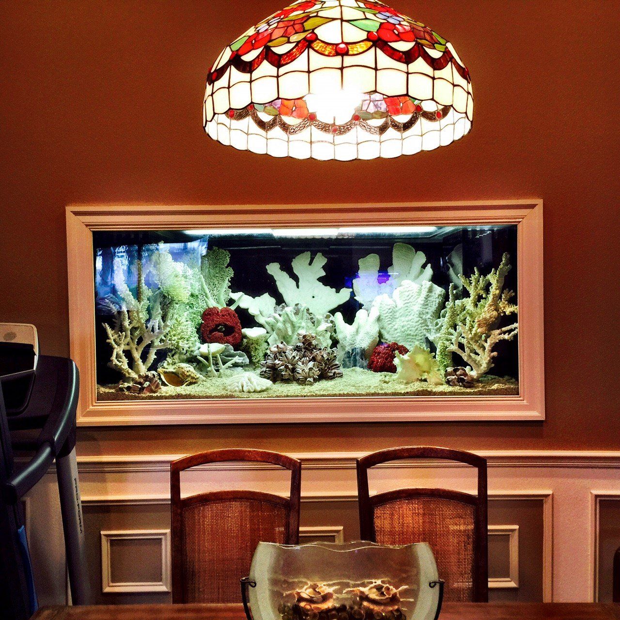 Custom aquariums