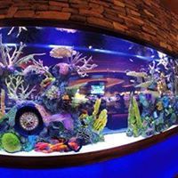 Commercial aquarium