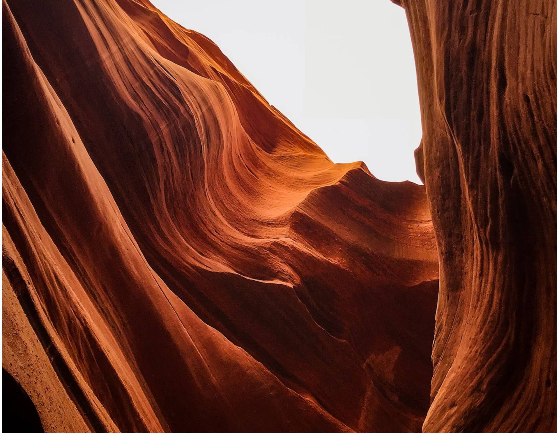 Red sandstone canyon walls with sunlight illuminating smooth, curved rock formations